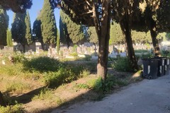 «Cimitero di Barletta: degrado e abbandono senza rispetto»