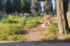 Rete Civica Barletta: «Sul degrado del cimitero servono risposte serie, non offese ai cittadini»