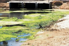 Canale H a Barletta, Europa Verde: «L'unico punto nero della Puglia certifica il fallimento dell'amministrazione»