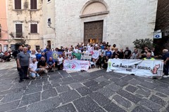 "Insieme per San Giacomo": le associazioni del territorio si preparano a celebrare il Santo patrono