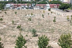 «Parco della 167 (tra via Leonardo da Vinci e via Paolo Ricci) nell’abbandono: alberi secchi e sgambatoio mai finito»