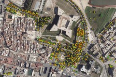 Barletta, disponibile sul sito web istituzionale il censimento verde comunale