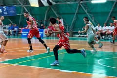 Levante Nuova Cestistica Barletta, netta vittoria contro la Fortitudo Trani