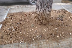 Degrado in via Fermi a Barletta: la denuncia del Comitato Spontaneo Quartiere "Cappuccini"