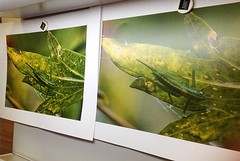 L’arte dei colori in un workshop su Adobe Photoshop