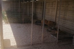 Zone d’ombra per gli ospiti del rifugio di Barletta: «Intervento tutt’altro che banale»
