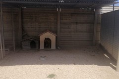 Più ombra per i cani del rifugio comunale di Barletta
