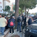 Abbattimento alberi, si parte lunedì: sopralluogo della Commissione Ambiente