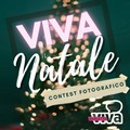  "Viva il Natale ", al via il contest fotografico di BarlettaViva