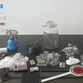 Droga a Barletta, blitz della Polizia di Stato: 10 misure cautelari e 10 DASPO