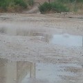 Zona Parco degli Ulivi, bagni di fango a cielo aperto a Barletta
