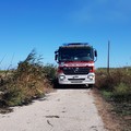 Vasto incendio a sud di Barletta, fumo alto visibile da Trani