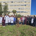 Presentato al Dimiccoli di Barletta il progetto "Un albero per la salute "