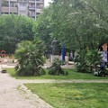 Barletta, cominciata la manutenzione in piazza Federico II di Svevia