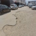 Degrado in via delle Querce, la denuncia di Coalizione Civica