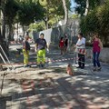 Lavori di manutenzione in viale Regina Elena