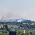 Vasto incendio a Castel del Monte, evacuati il maniero e i ristoranti