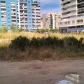«Meno like, più manutenzioni: la Zona 167 soffoca tra degrado e pericoli»
