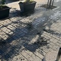 Olio nero per vandalizzare un locale nella 167 di Barletta