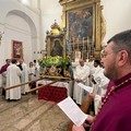 Barletta si prepara ad accogliere l'arrivo della Madonna dello Sterpeto