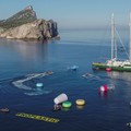 “Il mare ha bisogno del tuo aiuto”. Raccolta plastica sulle spiagge di Barletta