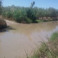 Contrada Tittadegna, la vera piscina comunale di Barletta