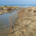 Sversamenti in mare a Ponente, attese le analisi dell’Arpa Puglia