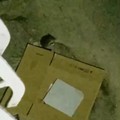 Barletta, topi e condizioni igieniche precarie in via Mameli - IL VIDEO