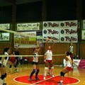 Doppia sconfitta con onore per l'ASD Volley Barletta