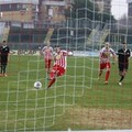 Barletta-Frosinone, il club donerà l’intero incasso in beneficenza