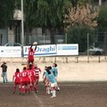 Rugby, ai Draghi bastano i calci per battere Brindisi