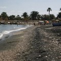 «Il mare e la sabbia a Barletta causano malattie virali»