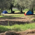 Accampamenti di fortuna lungo la litoranea di Ponente, tra rifiuti e indifferenza