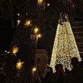 A Barletta è arrivato il Natale. La spettacolare accensione delle luci dell’albero in Piazza Aldo Moro