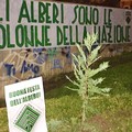 «Gli alberi sono le colonne della Nazione»