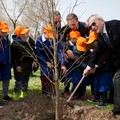 32 nuovi alberi sulla litoranea Mennea grazie al Rotary