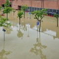 Coppia di Barletta racconta il dramma dell'alluvione in Emilia Romagna