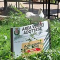 Caso Ambulatorio Popolare, si aggiunge la solidarietà di Sinistra Italiana Barletta