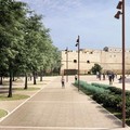 Iniziati i lavori per teatro all'aperto nell'area ex Lidl ai piedi del Castello