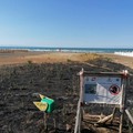 Incendio nell'area protetta del fratino sulla costa di Barletta