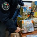 Sequestrati 100 kg di fuochi illegali a Barletta, scatta l'arresto