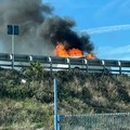 Rapinano distributore carburante e bruciano l'auto: la scena sulla 16bis a Barletta