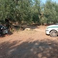 Auto rubata a Barletta, scocca ritrovata a Corato