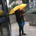 «Mia figlia fuori dai pubblici uffici perché il cane non può entrare»