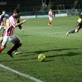 Barletta-Reggina dalla A alla Z