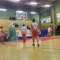 Barletta Basket in scioltezza sulla Virtus, termina 66-26 al  "PalaMarchiselli "