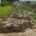 Pioggia intensa, in ginocchio le strade lungo la Barletta-Spinazzola