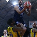 Grande basket a Barletta, al  "Paladisfida " l'amichevole tra Scafati e Brindisi