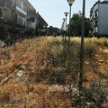 Ricomincia l'estate e torna il degrado in via Brunelleschi