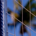 Molestava le sue giovani atlete, anche minorenni: custodia cautelare in carcere per un barlettano